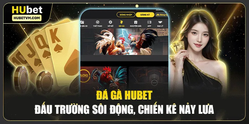 Đá gà Hubet